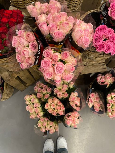 A display of multiple bouquets of fresh pink roses, arranged in rounded clusters with light green stems and petals that are velvety and well-hydrated. The roses are wrapped in transparent cellophane a